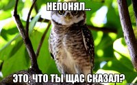 непонял... это, что ты щас сказал?