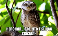  Непонял... Это, что ты щас сказал?