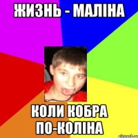 Жизнь - маліна коли кобра по-коліна
