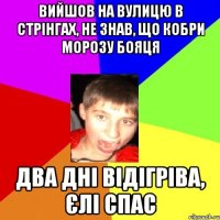 Вийшов на вулицю в стрінгах, не знав, що кобри морозу бояця два дні відігріва, єлі спас
