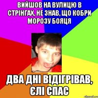 Вийшов на вулицю в стрінгах, не знав, що кобри морозу бояця два дні відігрівав, єлі спас