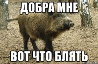 ДОБРА МНЕ ВОТ ЧТО БЛЯТЬ