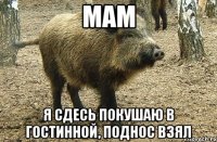 мам я сдесь покушаю в гостинной, поднос взял
