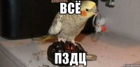 ВСЁ ПЗДЦ