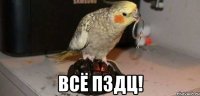  ВСЁ ПЗДЦ!