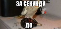 За секунду до...