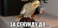  За секунду до...