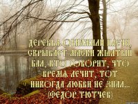 Деревья обнажили плечи, Скрывает маски жёлтый бал, Кто говорит, что время лечит, Тот никогда любви не знал... (Федор Тютчев)