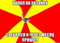Напал на хазяйку сьебался и через месяц пришол