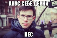 анус себе дерни пес