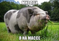 мне пох я на массе