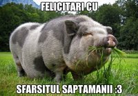 felicitari cu sfarsitul saptamanii :3