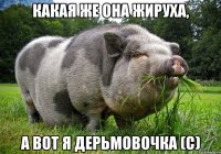 Какая же она жируха, а вот я дерьмовочка (с)