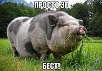 просто зе бест!
