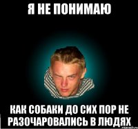 Я не понимаю как собаки до сих пор не разочаровались в людях