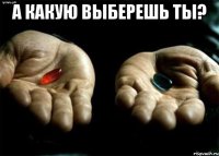 А какую выберешь ты? 