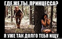 где же ты, принцесса? я уже так долго тебя ищу