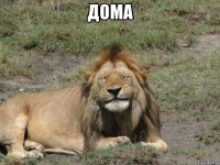 Дома 