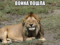 война пошла 