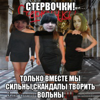 стервочки! только вместе мы сильны,скандалы творить вольны