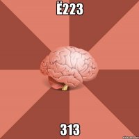 ё223 313