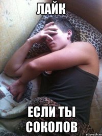 Лайк если ты соколов