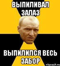выпиливал залаз выпилился весь забор