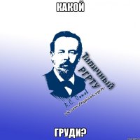 КАКОЙ ГРУДИ?