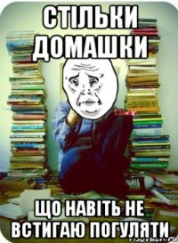 стільки домашки що навіть не встигаю погуляти