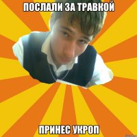 послали за травкой принес укроп