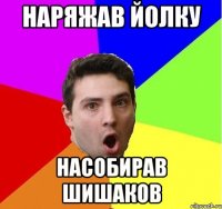 Наряжав йолку Насобирав шишаков
