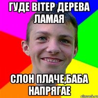 Гуде вітер дерева ламая Слон плаче,Баба напрягае