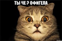 ты че ? офигела 