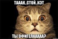 тааак..стой..кэт ты офигелааааа?