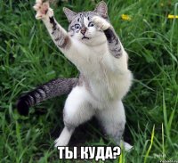  ты куда?