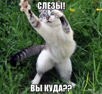 СЛЕЗЫ! Вы куда??