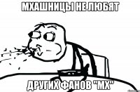 мхашницы не любят других фанов "мх"