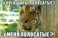 У кого шары полосатые? У меня полосатые ?!