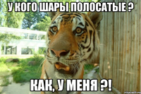 У кого шары полосатые ? Как, у меня ?!