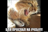  Бля проспал на учебу!!!