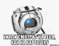  Уитли смотрит на тебя, как на картошку