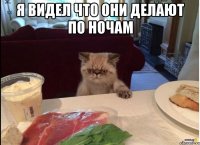 я видел что они делают по ночам 