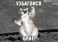 Узбагойся, брат!