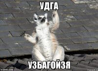Удга Узбагойзя
