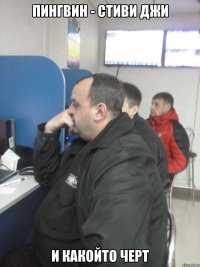 ПИНГВИН - СТИВИ ДЖИ И КАКОЙТО ЧЕРТ