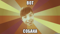 вот собака