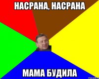 Насрана, насрана Мама будила