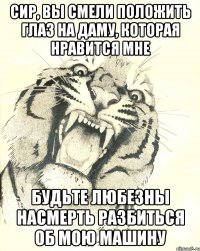 СИР, ВЫ СМЕЛИ ПОЛОЖИТЬ ГЛАЗ НА ДАМУ, КОТОРАЯ НРАВИТСЯ МНЕ БУДЬТЕ ЛЮБЕЗНЫ НАСМЕРТЬ РАЗБИТЬСЯ ОБ МОЮ МАШИНУ