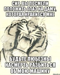 СИР, ВЫ ПОСМЕЛИ ПОЛОЖИТЬ ГЛАЗ НА ДАМУ, КОТОРАЯ НРАВИТСЯ МНЕ БУДЬТЕ ЛЮБЕЗНЫ НАСМЕРТЬ РАЗБИТЬСЯ ОБ МОЮ МАШИНУ
