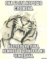 она была хорошо сложена. вот только рука, немного выпирала из чемодана.